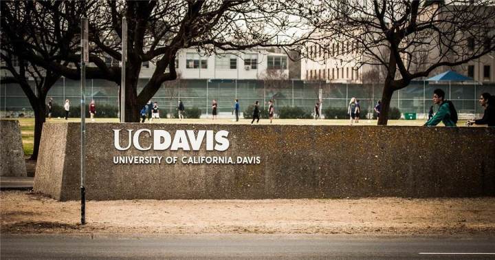 uc davis msba unique